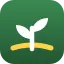 Growing Grounds